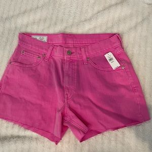 Low Stride Shorts with Washwell (GAP) size 28(6R) India Pink NWT!